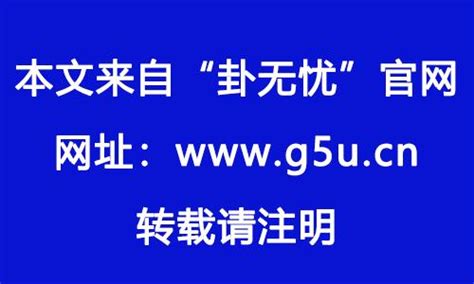 晚上遇到蛇代表什么